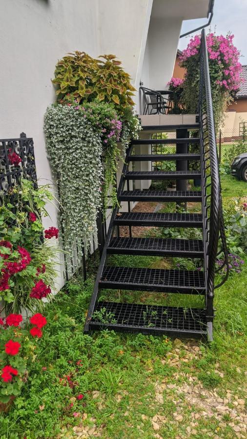 Zator Noclegi U Babci Jozi Exteriör bild